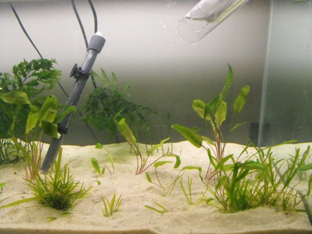 November 2009 053.jpg