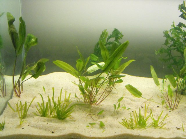 November 2009 054.jpg