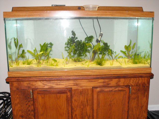 November 2009 060.jpg
