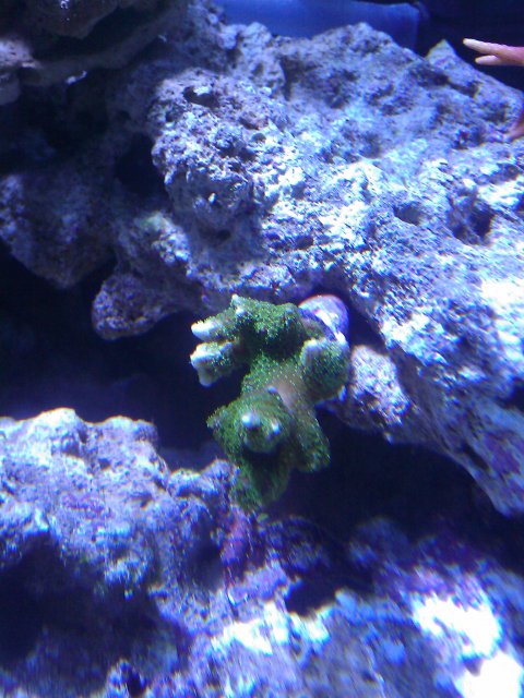 Phone Pictures 121.jpg