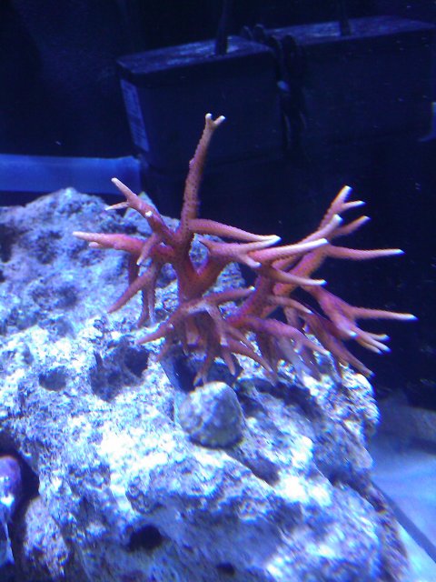 Phone Pictures 122.jpg