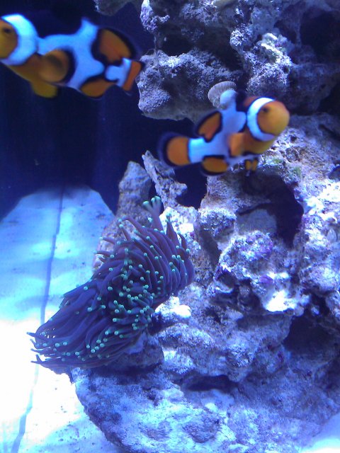 Phone Pictures 123.jpg