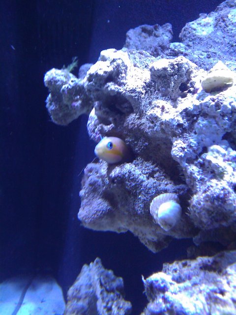 Phone Pictures 124.jpg