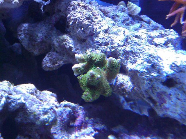 Phone Pictures 125.jpg