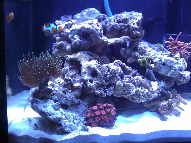 Phone Pictures 127.jpg