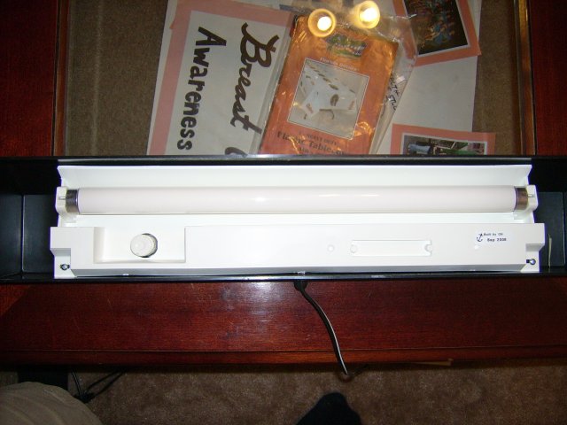 2 light can before.JPG