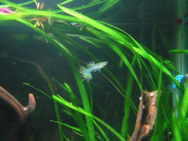 IMG_5792.JPG