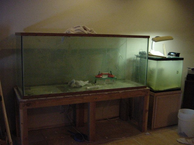 DSC04868.JPG