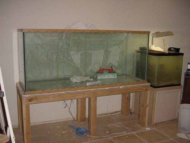 DSC04867.JPG