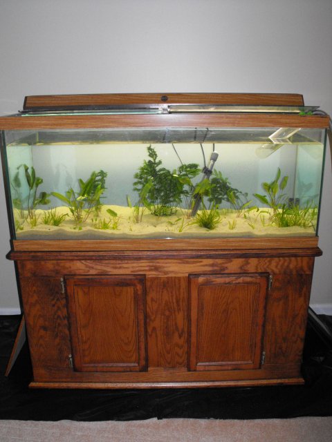 November 2009 058.jpg