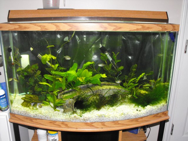 November 2009 061.jpg