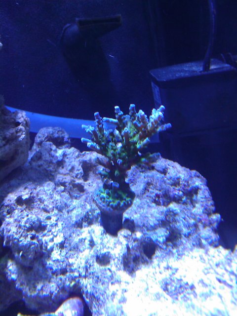 Phone Pictures 041.jpg