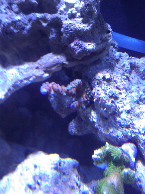 Phone Pictures 042.jpg