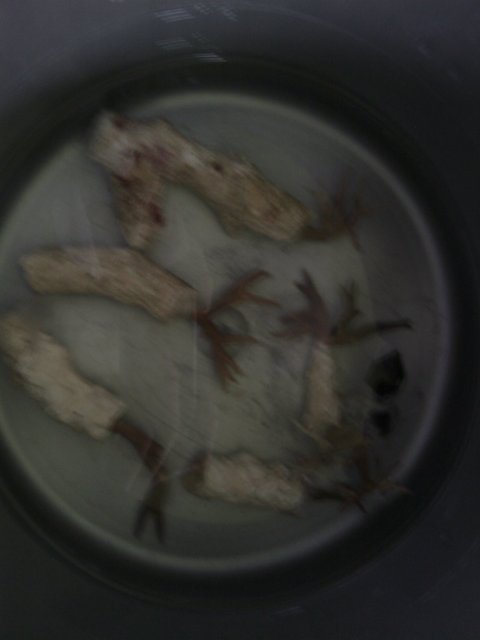 Phone Pictures 020.jpg