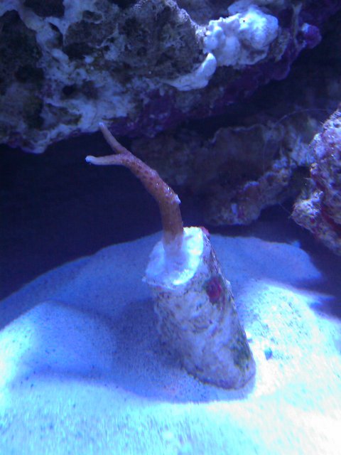 Phone Pictures 021.jpg