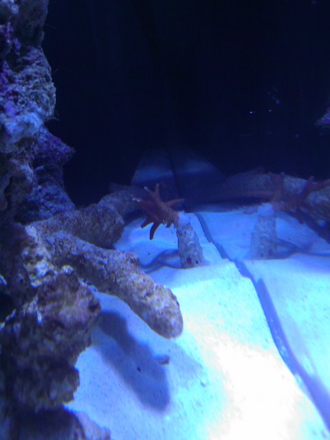 Phone Pictures 022.jpg