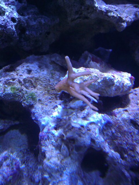 Phone Pictures 023.jpg