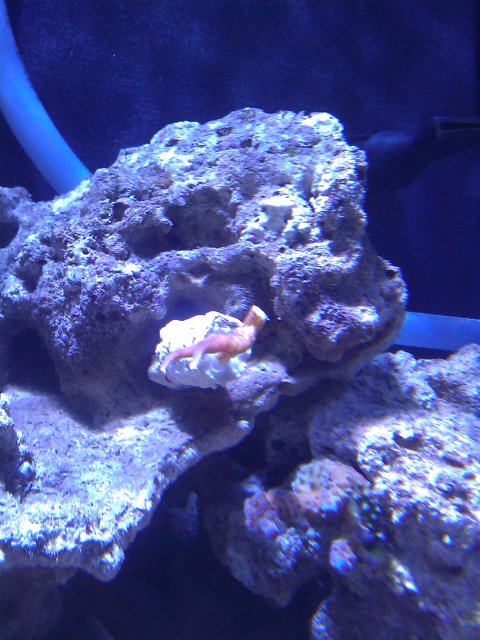 Phone Pictures 024.jpg