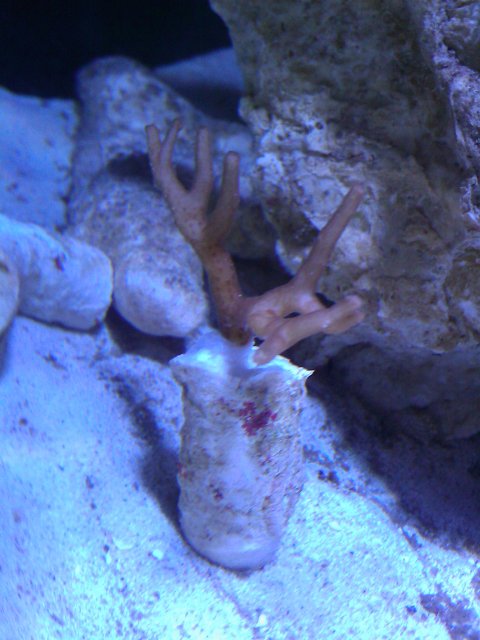 Phone Pictures 025.jpg