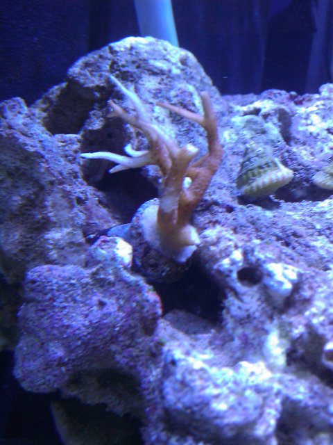 Phone Pictures 026.jpg