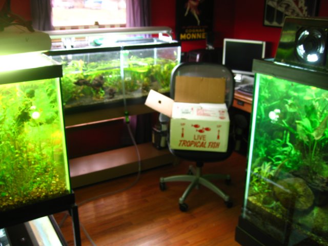 old old tank 1022.jpg