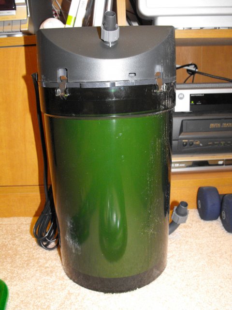 November 2009 090.jpg