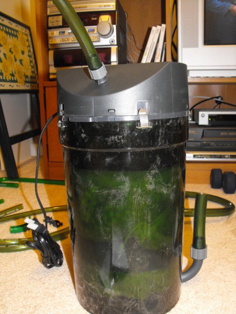 November 2009 096.jpg