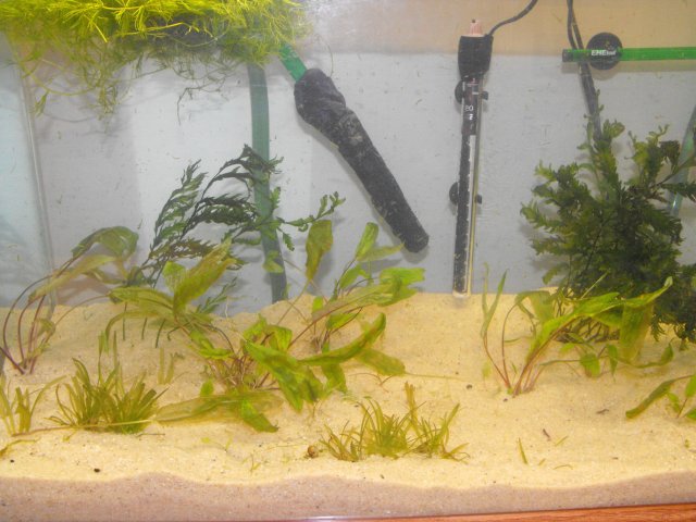 November 2009 101.jpg