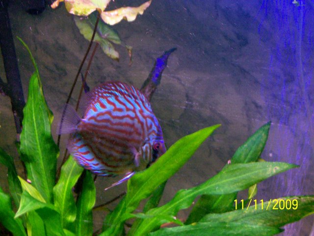 000_3590.jpg