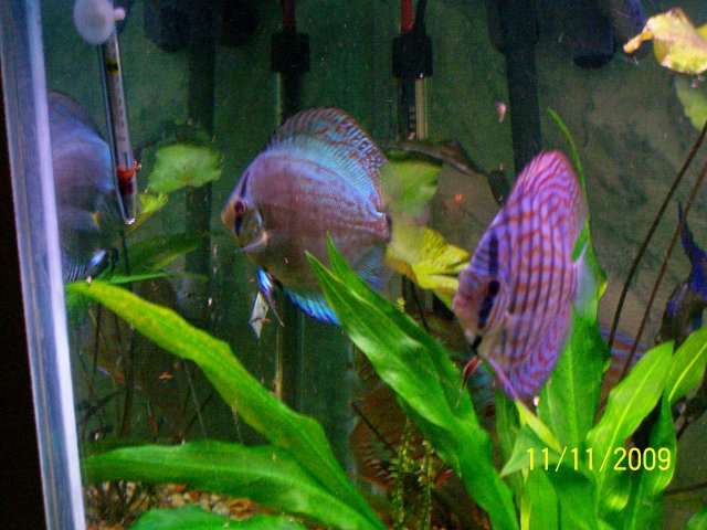 000_3592.jpg