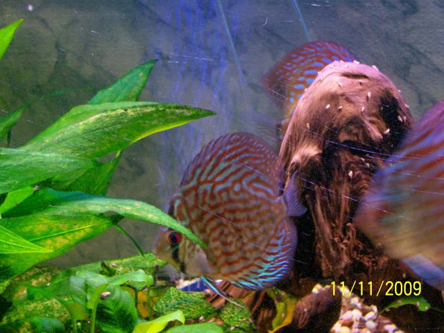 000_3596.jpg
