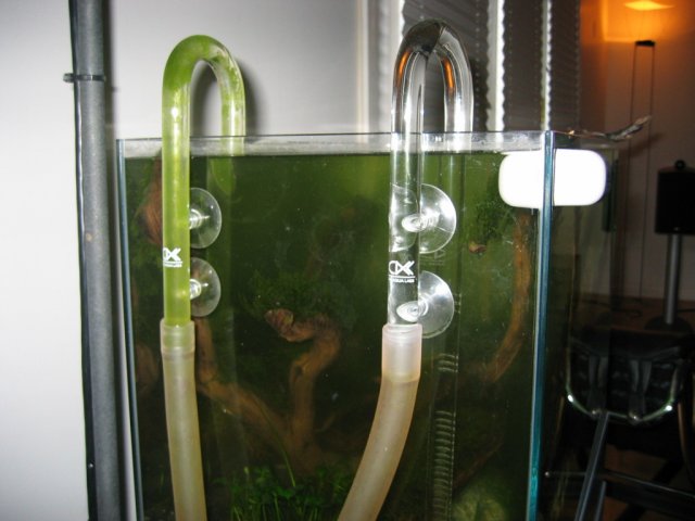 206_0614.JPG 206_0614.JPG