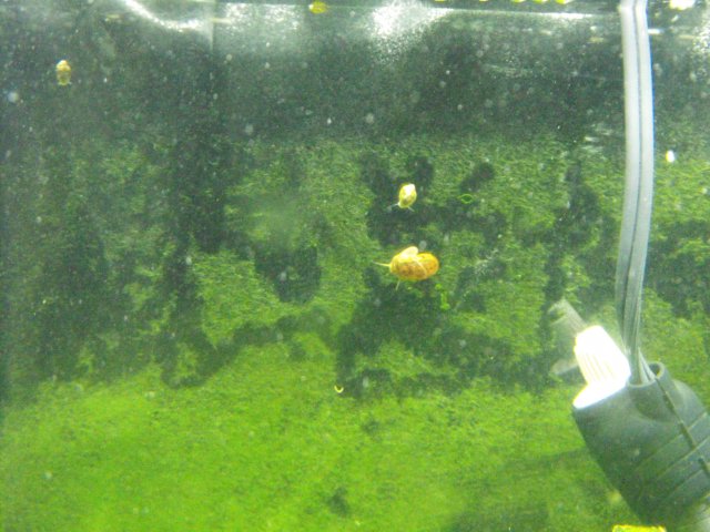 November 2009 110.jpg