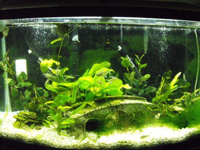 November 2009 111.jpg