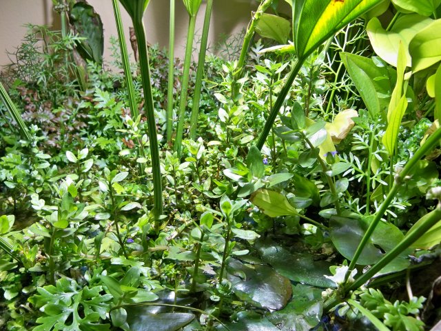 100_0714.JPG