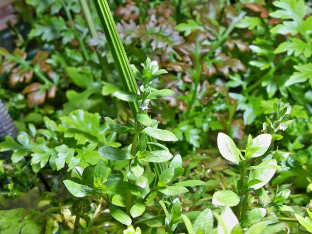 100_0715.JPG