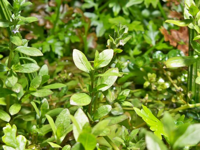 100_0716.JPG