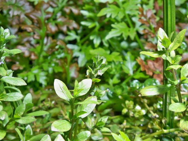 100_0717.JPG