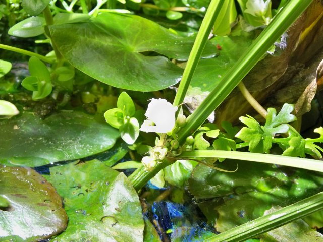 100_0718.JPG