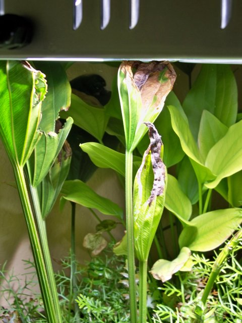 100_0719.JPG