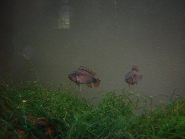 DSC03136.JPG
