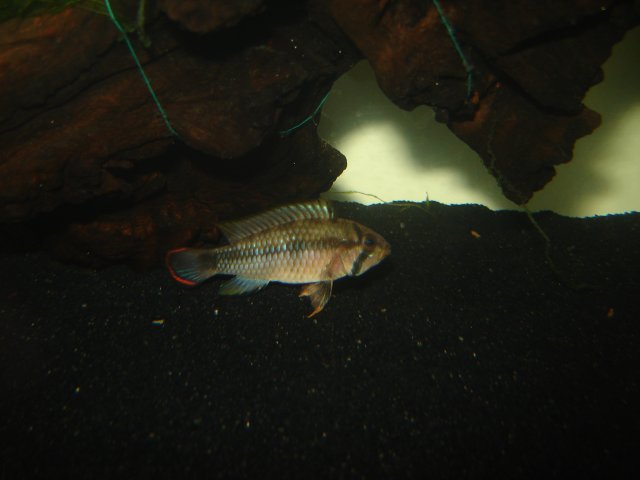 DSC03133.JPG