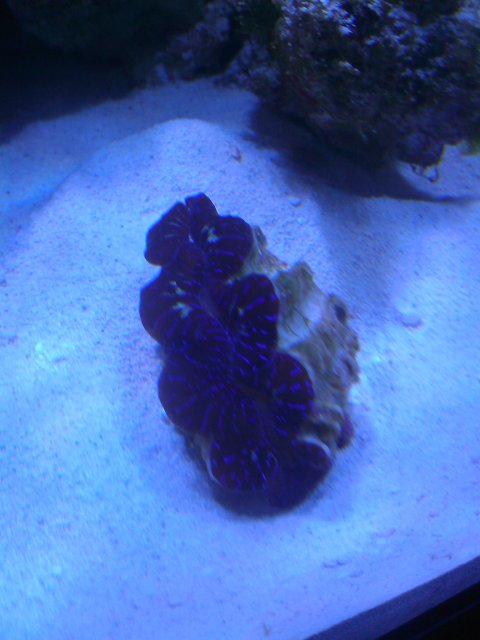 Phone Pictures 142.jpg