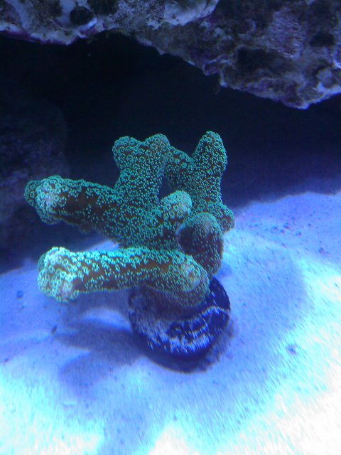 Phone Pictures 143.jpg