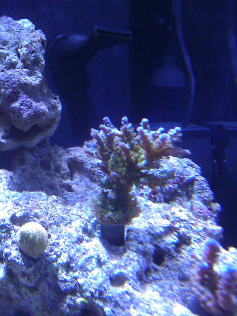 Phone Pictures 144.jpg