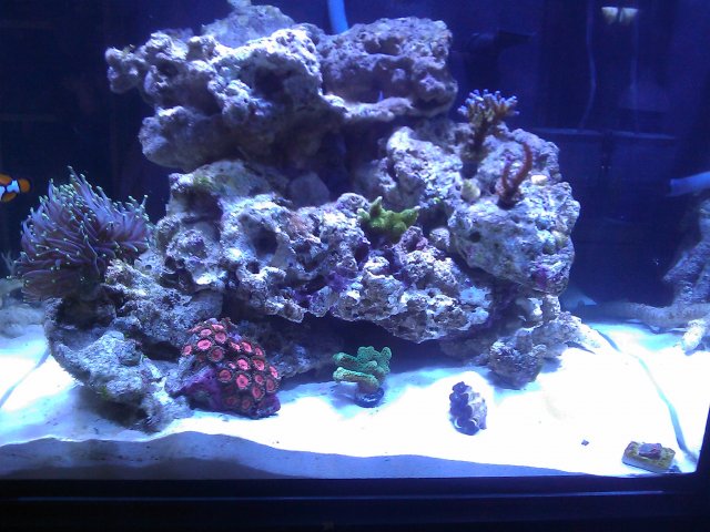 Phone Pictures 145.jpg