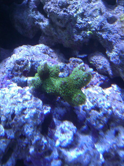 Phone Pictures 147.jpg