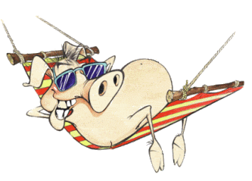 pig2.gif