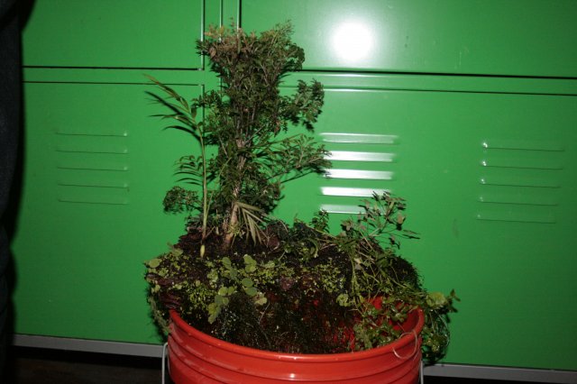 _MG_2340.JPG