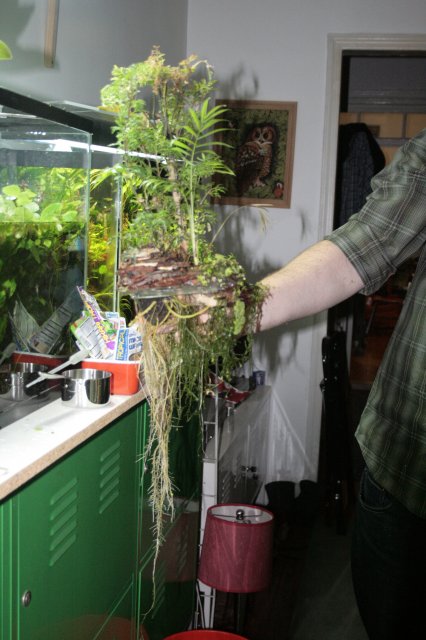 _MG_2339.JPG
